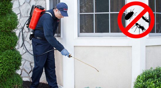 Beyşehir Bit İlaçlama böcek ilaçlama ve haşere kontrolü — ilaclama-tr.com